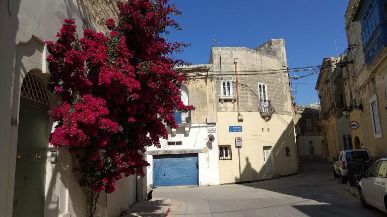 マルタ旅行はツアーと個人手配どっちがいい？それぞれのメリットとおすすめを紹介